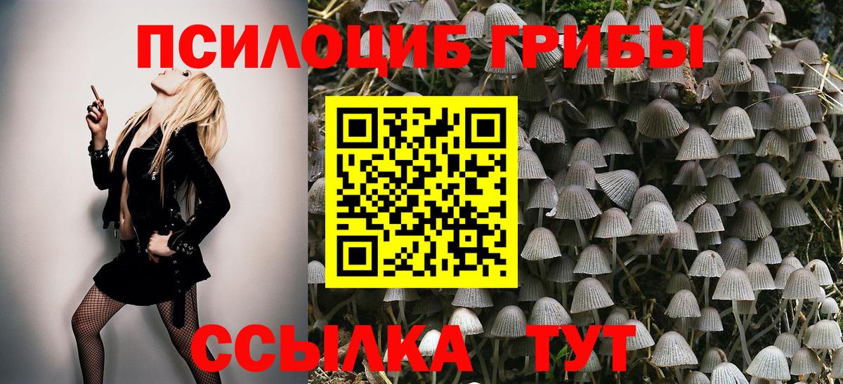 Галлюциногенные грибы мицелий  Галлюциногенные грибы мицелий  где купить наркоту  Вход с VPN  Камышин 