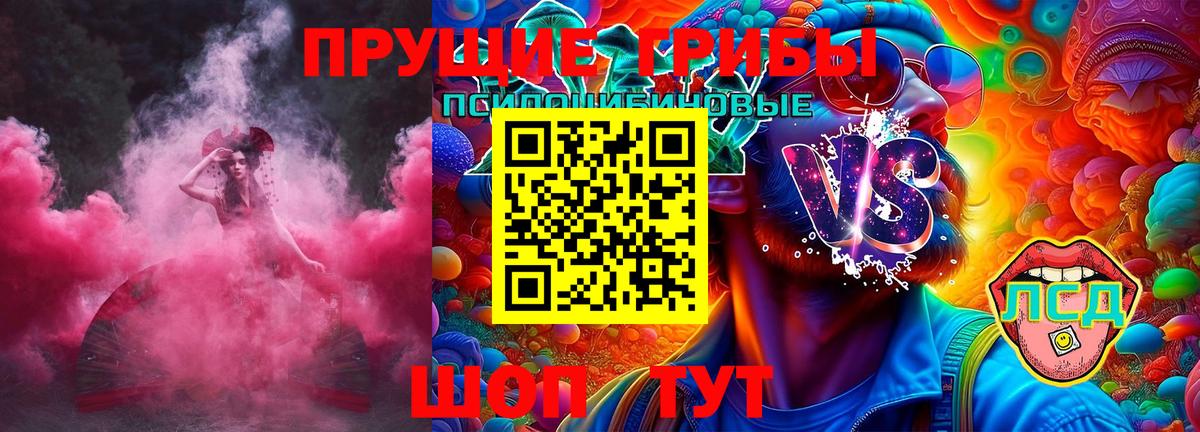 Псилоцибиновые грибы GOLDEN TEACHER Камышин