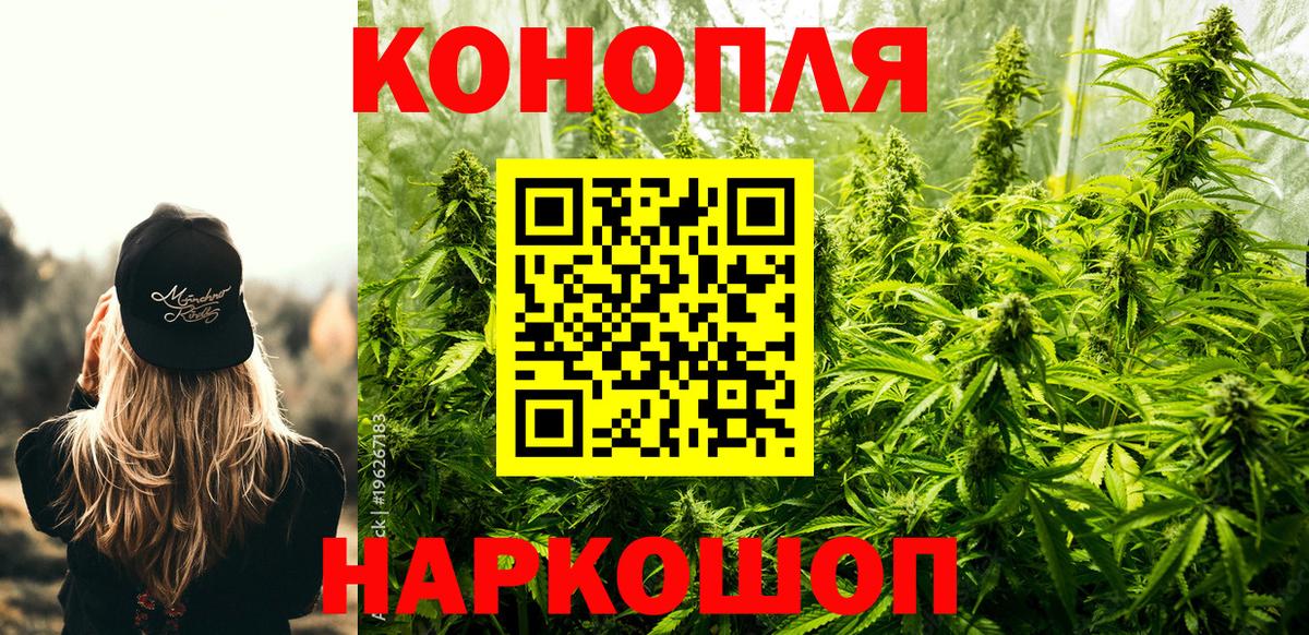 Бошки марихуана Bruce Banner  Вход с VPN  Камышин  Бошки марихуана White Widow  Канабис гибрид 